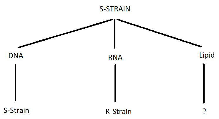 Biểu đồ biến dạng R