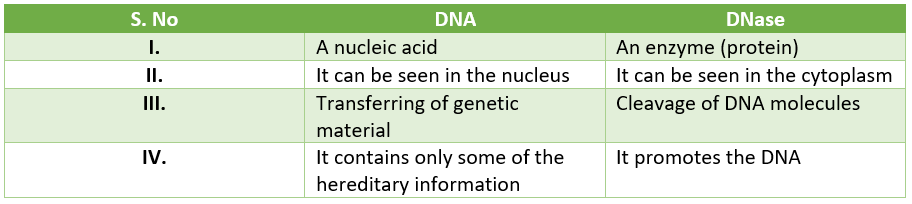 Tìm sự khác biệt giữa DNA và DNase từ sơ đồ đã cho