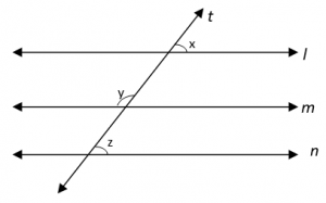 Parallel Lines And Transversal 2 - Class 9 Maths Mcq - Sanfoundry