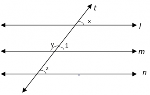 Parallel Lines and Transversal 2 - Class 9 Maths MCQ - Sanfoundry