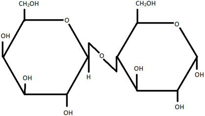 Sơ đồ phân tử Glucose và Galactose