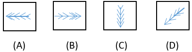 Figure Classification Questions And Answers - Set 6 - Sanfoundry